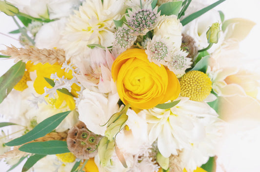 WEDDING: JIAWEN+LINGYING