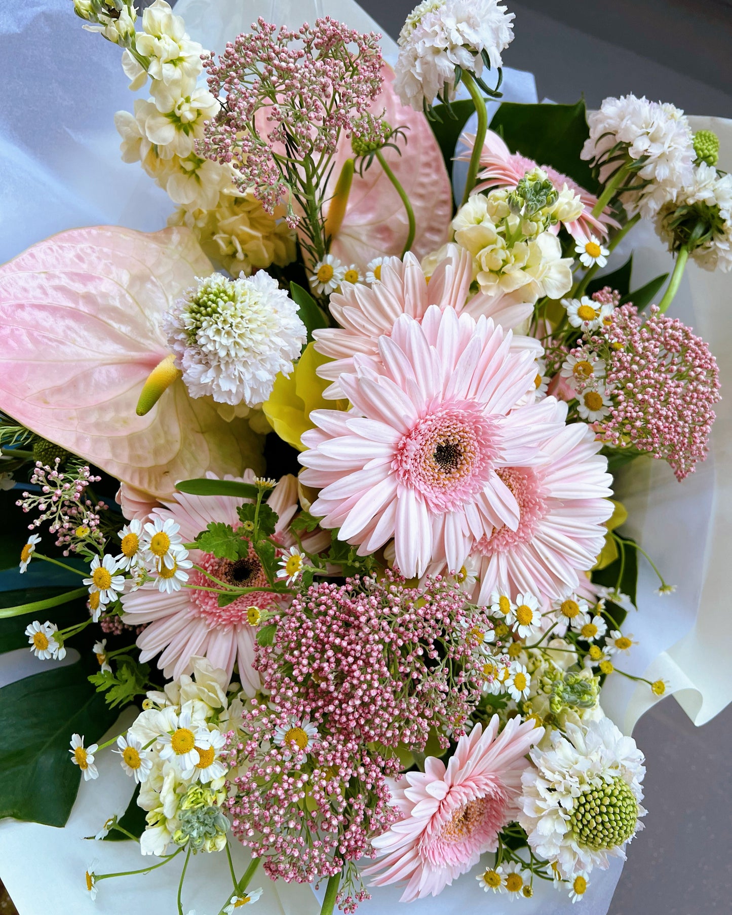 NEW - Chamomile Daisy