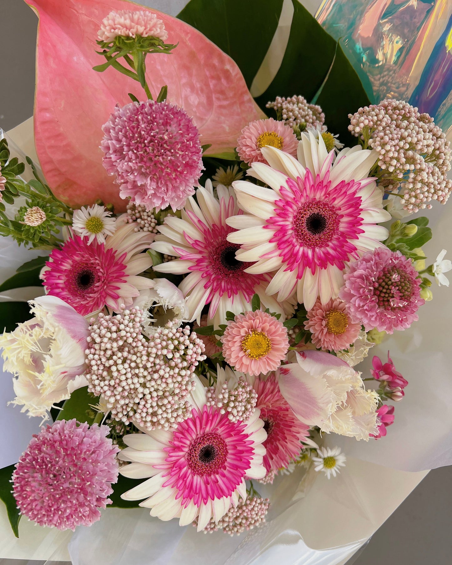 NEW - Chamomile Daisy