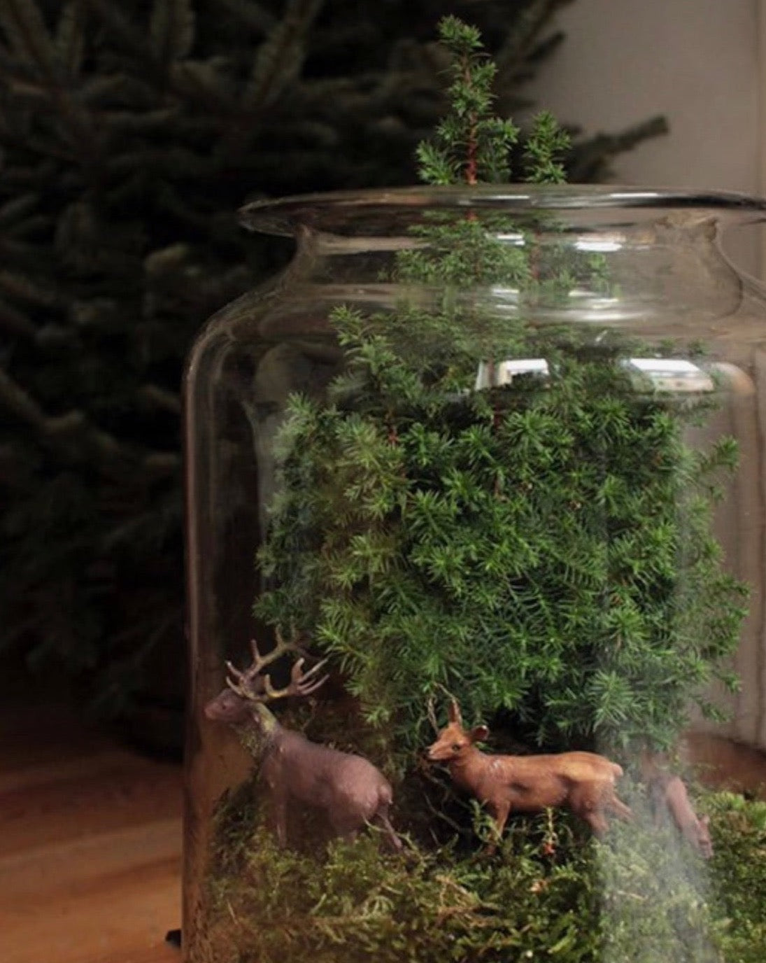 ! SOLD OUT ! Workshop for Kids & Adults: Winter Forest (10 December)