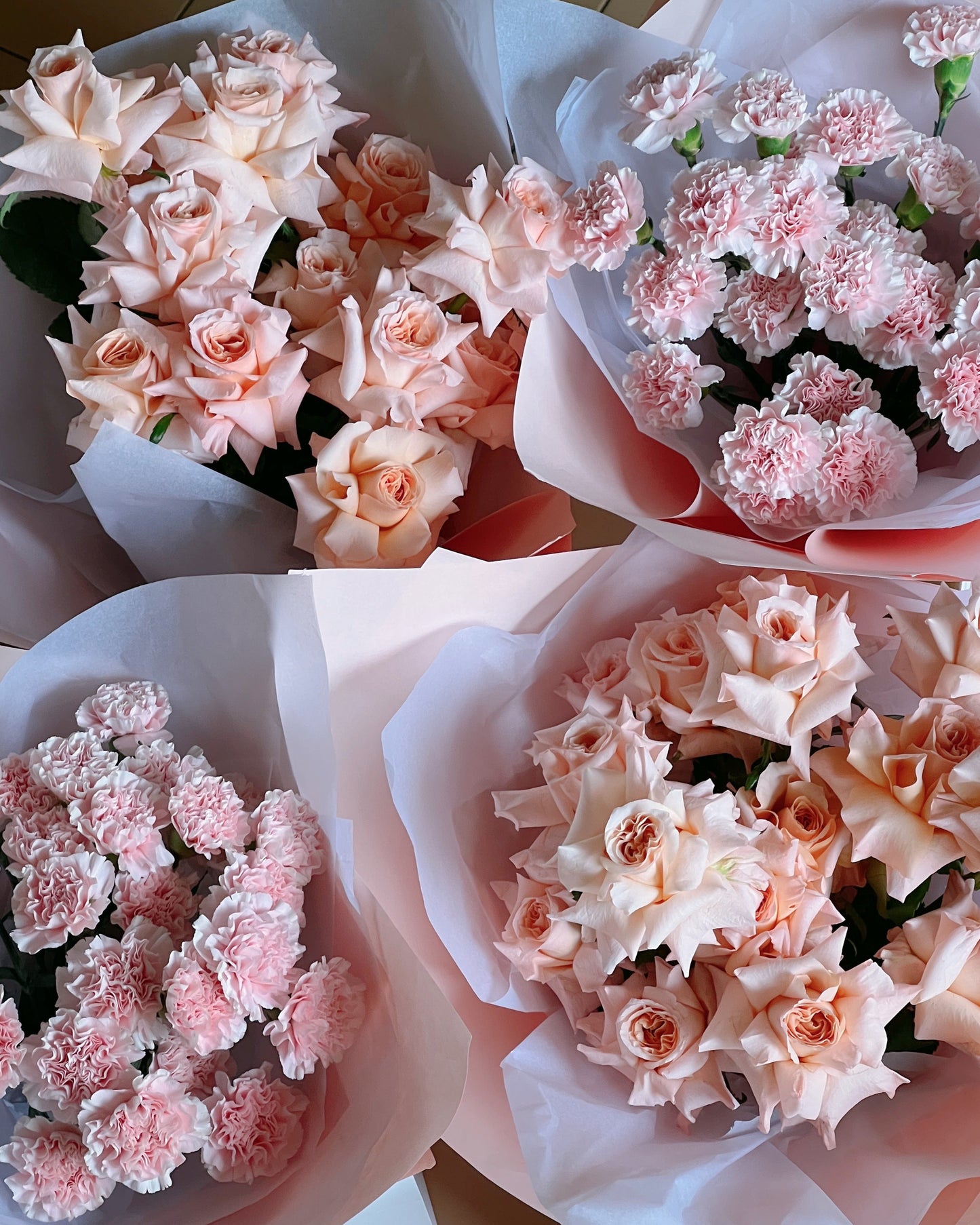 Carnations En Masse