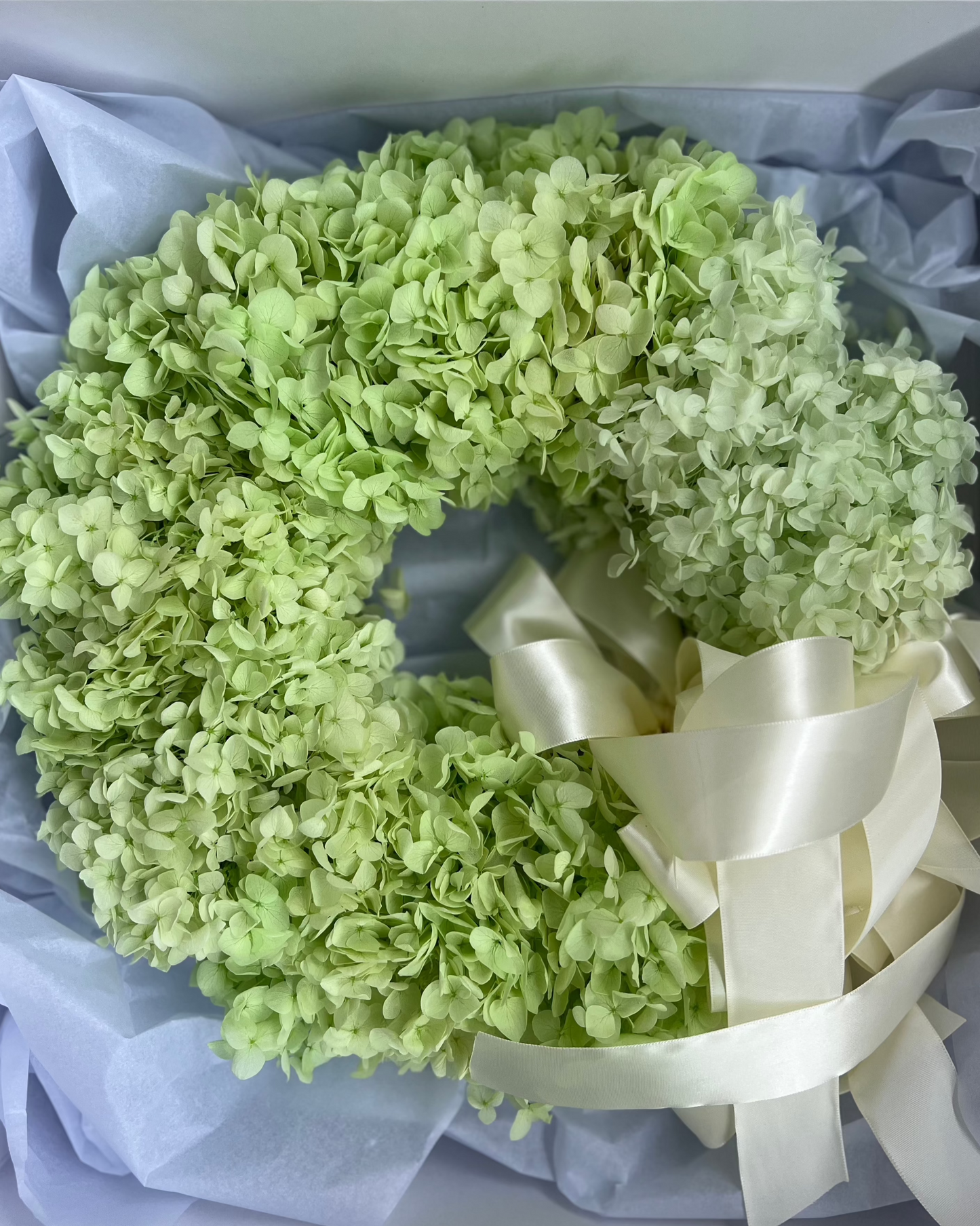 Green Christmas - Preserved Wreath