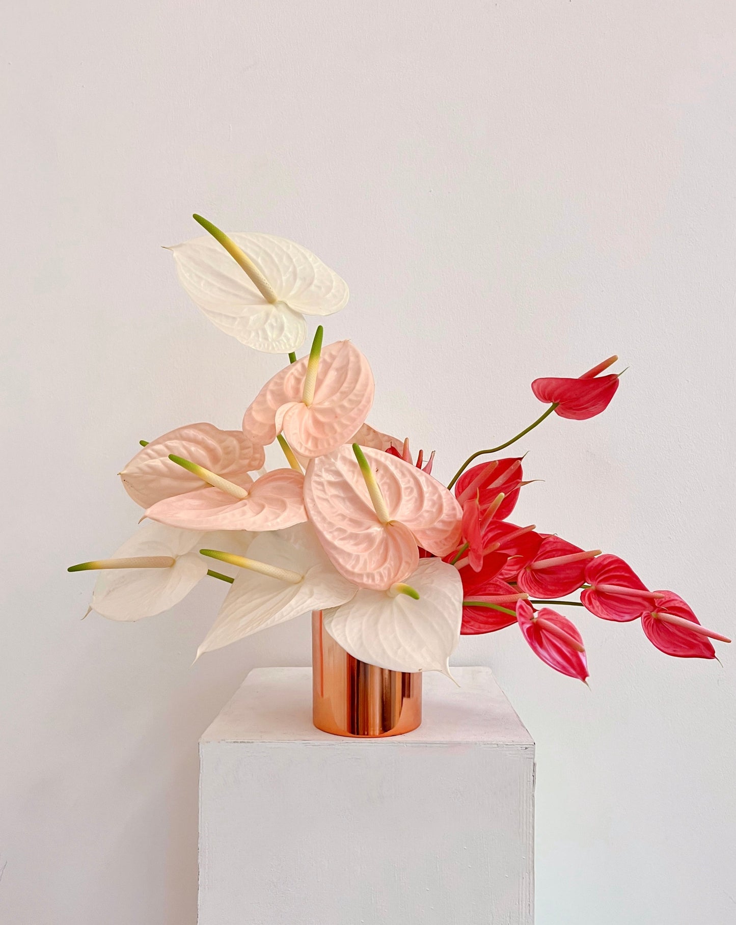 Anthurium Cluster Centrepiece