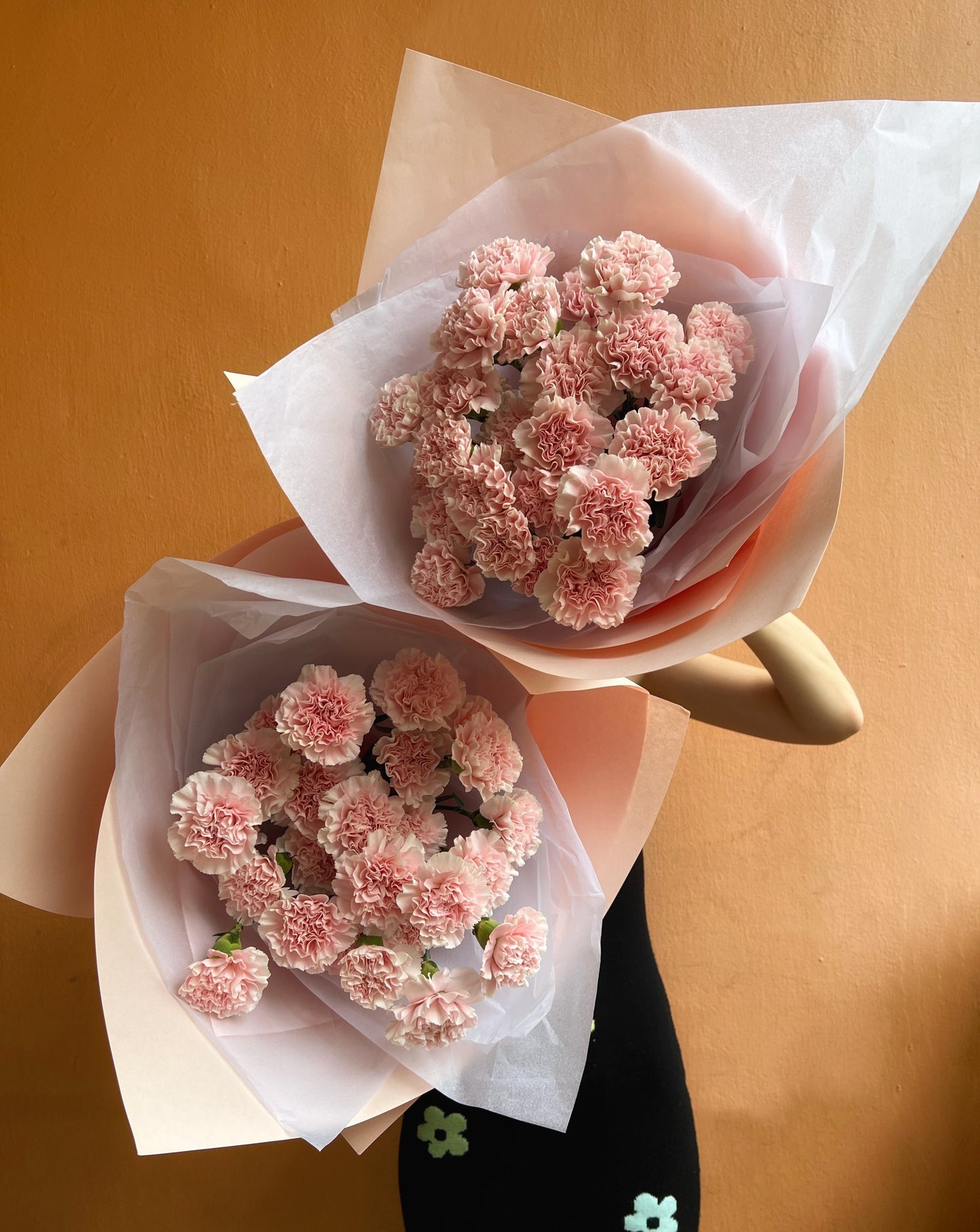 Carnations En Masse