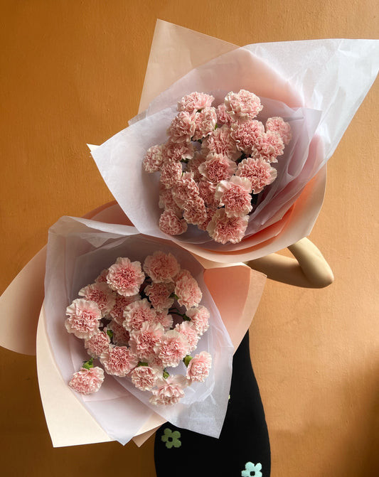 Carnations En Masse