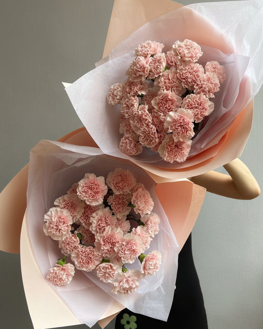 Carnations En Masse