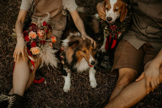 PHOTOSHOOT: MIKAYLA+STEVEN & COOKIE+MAX