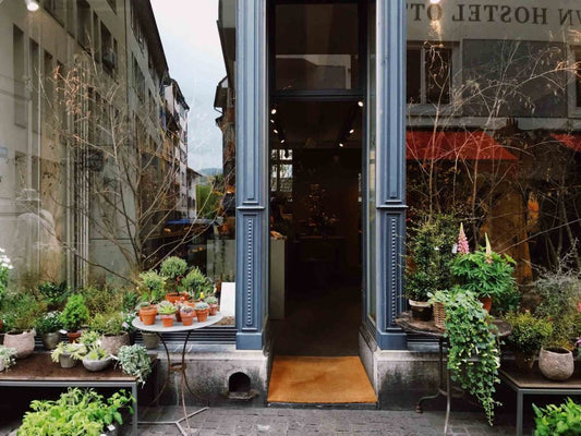 FIELD WORKS: ZURICH