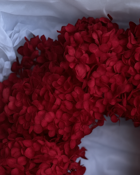 Red Christmas - Preserved Wreath