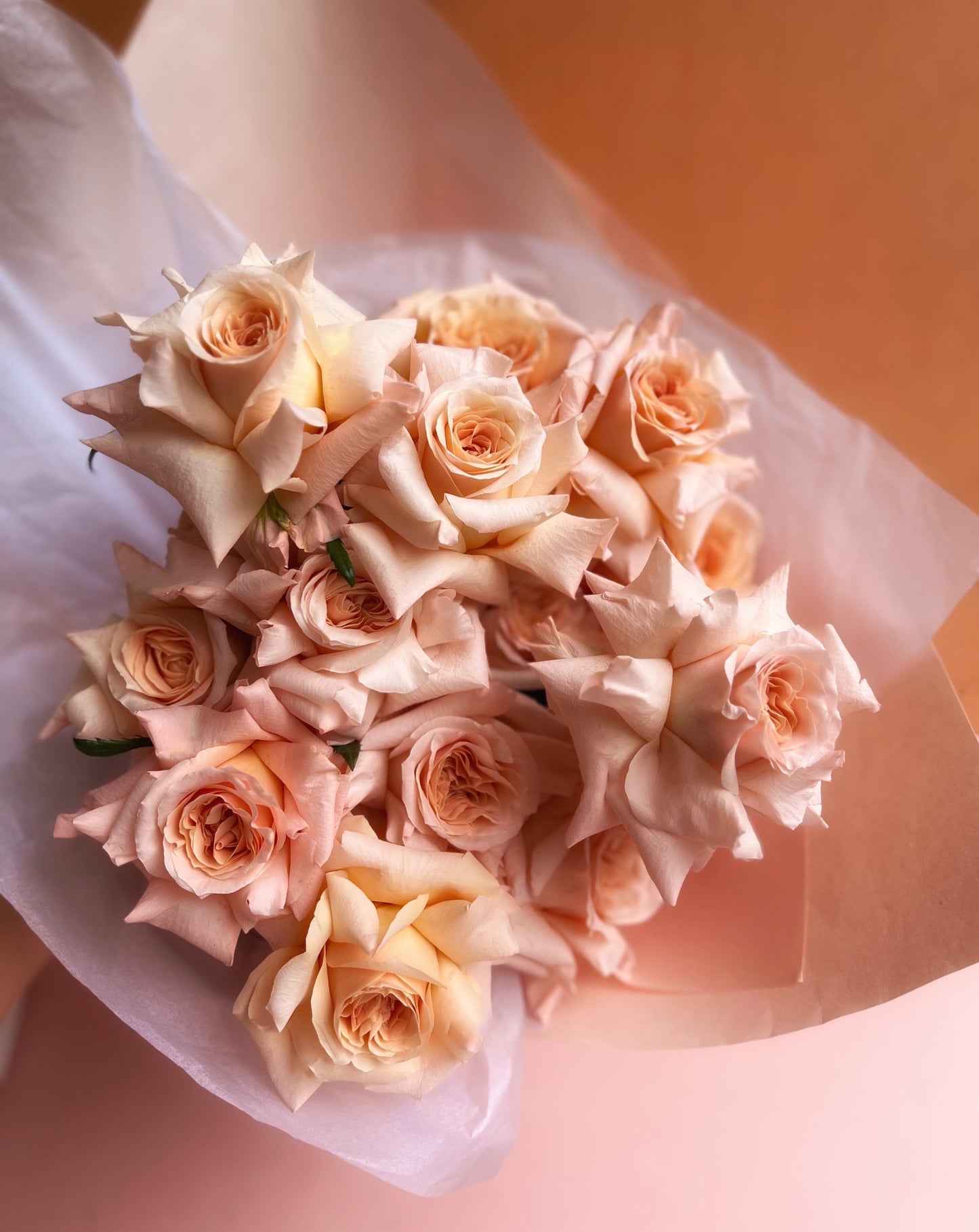 Pastel Roses En Masse