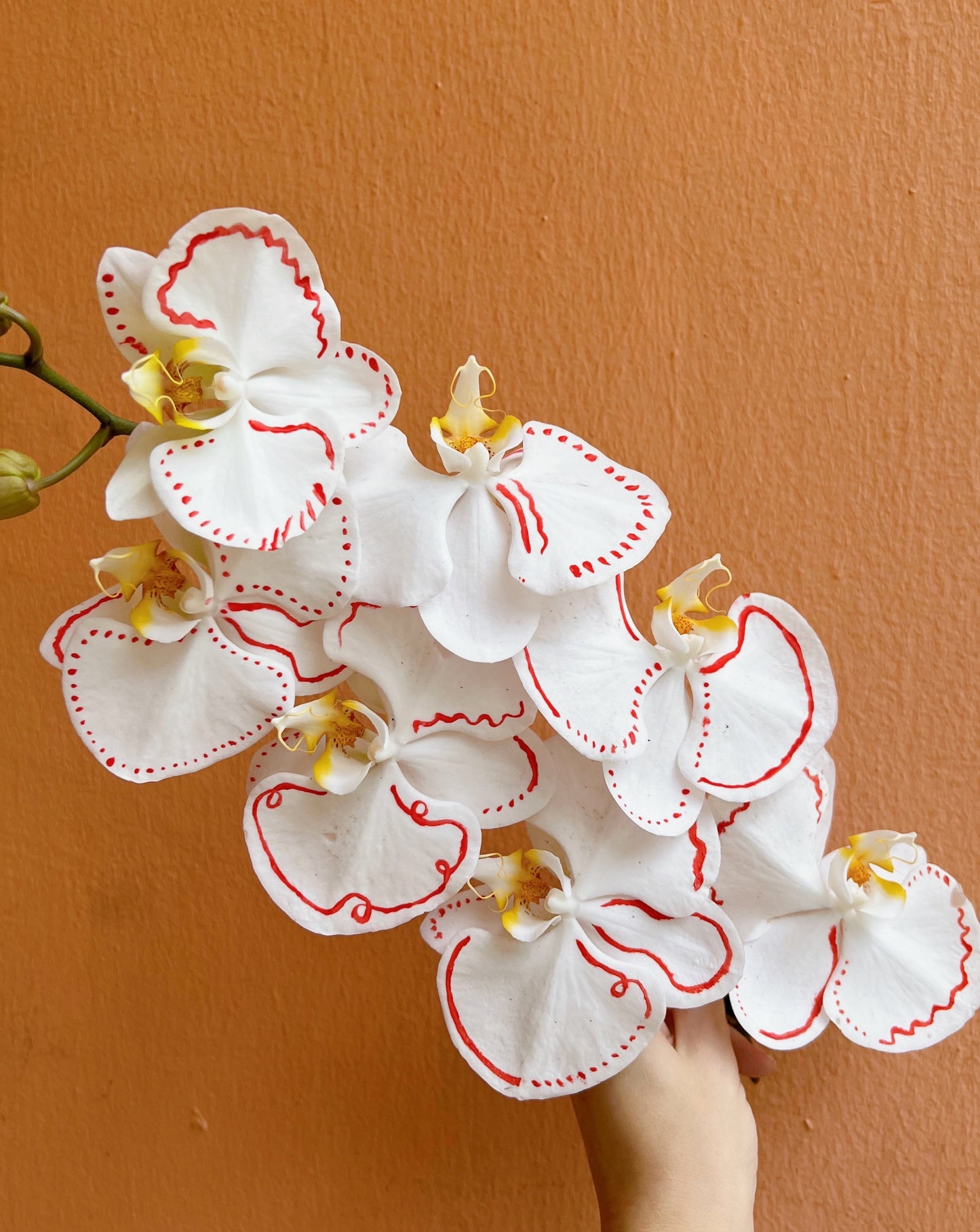 Phalaenopsis - Embroidery