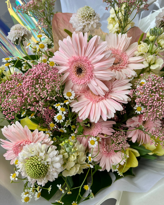 NEW - Chamomile Daisy