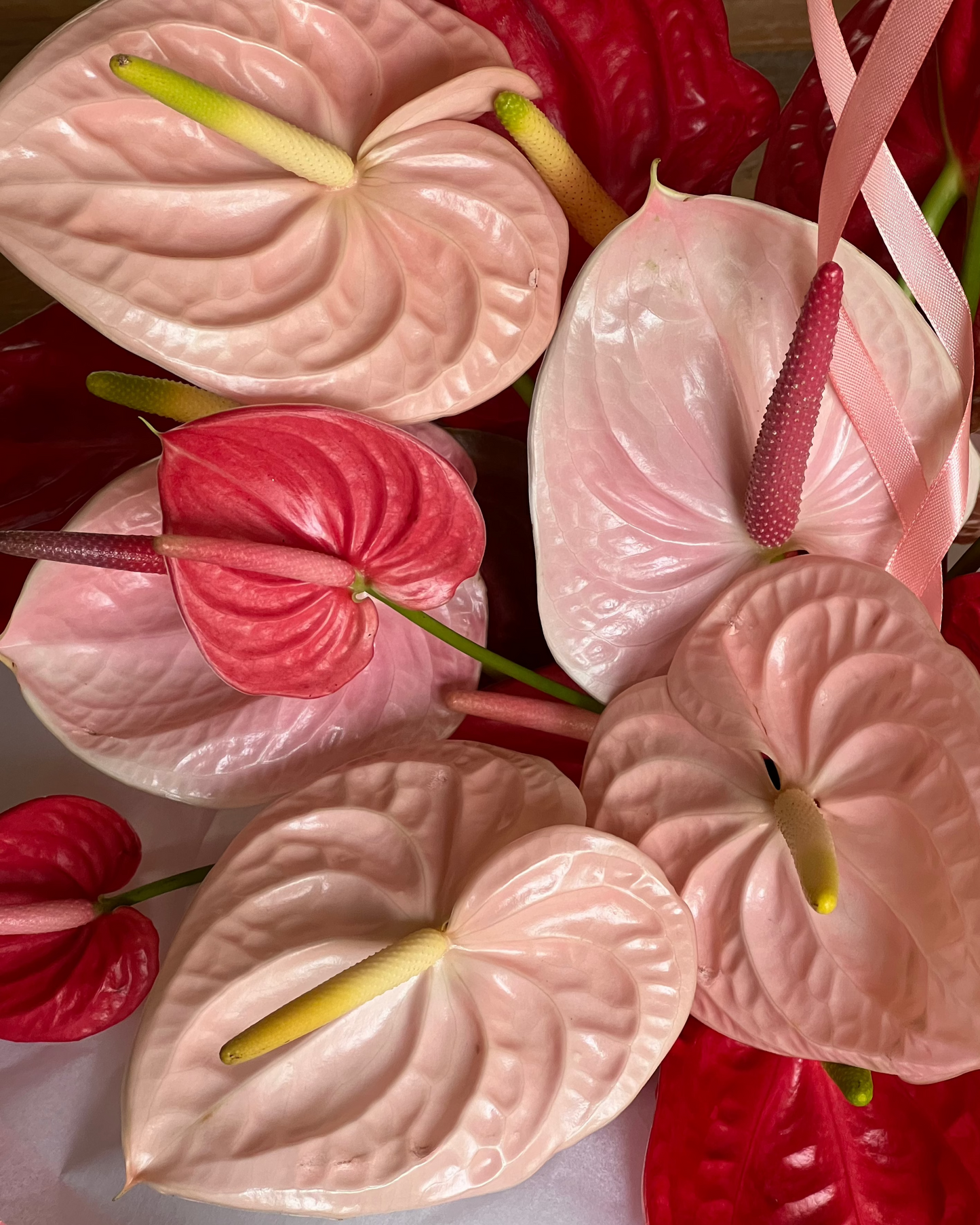 Anthurium Cluster Centrepiece