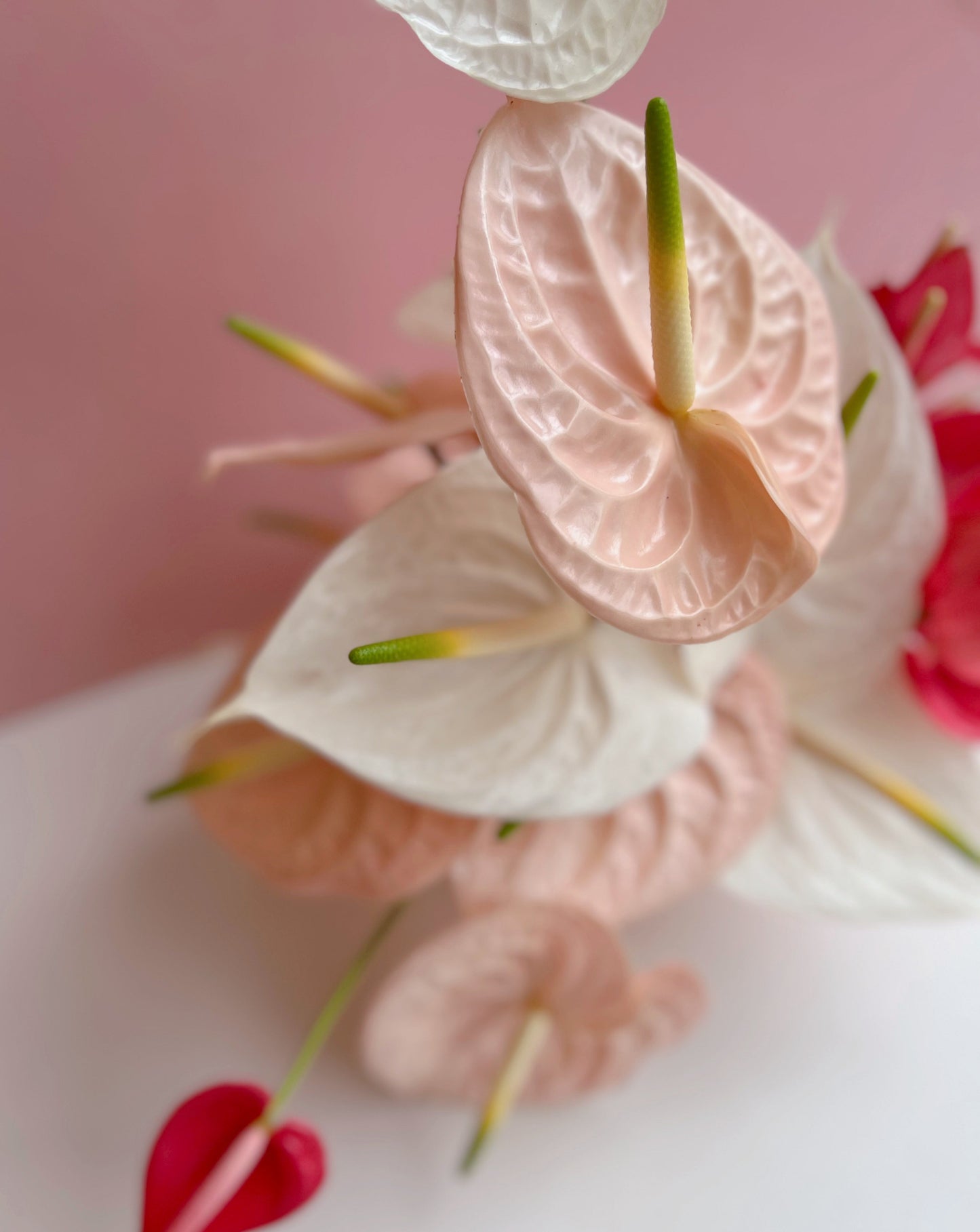 Anthurium Cluster Centrepiece