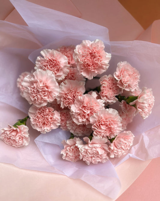 Carnations En Masse